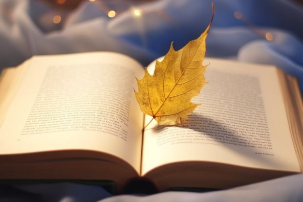 美国留学生,在俄亥俄戴顿,9月或者10月份以及12月份要去德国,想问签证以及其它问题(美加英澳留学硬件成绩要求汇总)