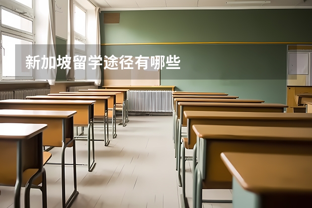 新加坡留学途径有哪些