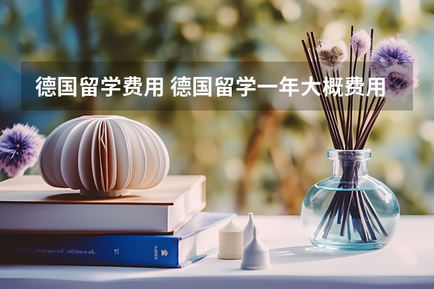 德国留学费用 德国留学一年大概费用