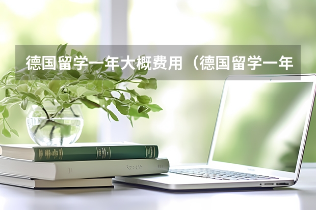 德国留学一年大概费用(德国留学一年花费?)
