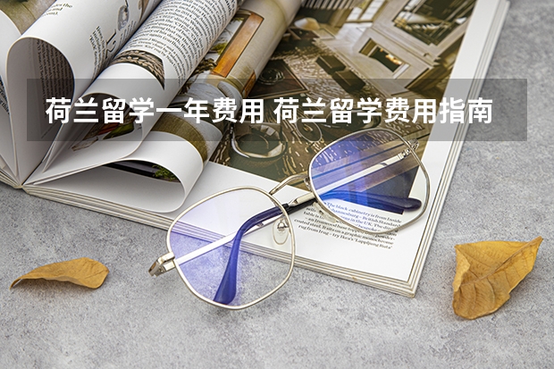 荷兰留学一年费用 荷兰留学费用指南