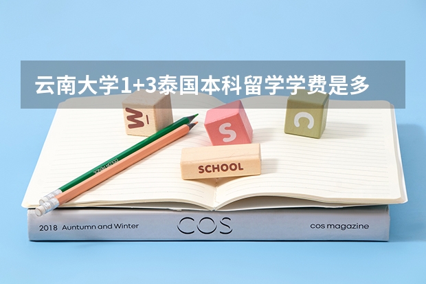 云南大学1+3泰国本科留学学费是多少