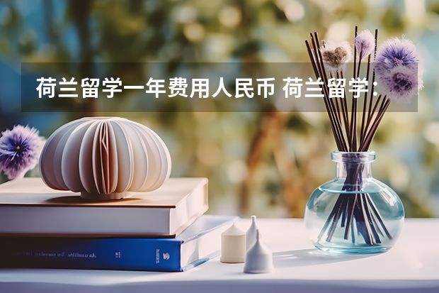 荷兰留学一年费用人民币 荷兰留学：性价比之选