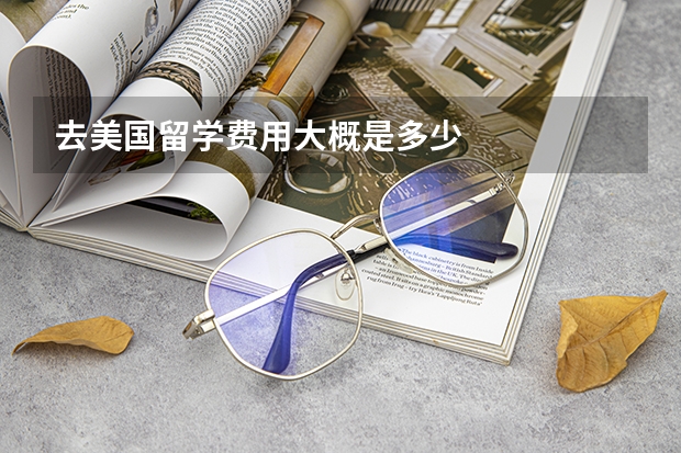 去美国留学费用大概是多少