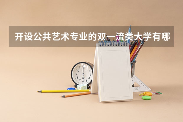 开设公共艺术专业的双一流类大学有哪些