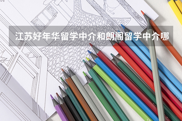 江苏好年华留学中介和朗阁留学中介哪个更专业