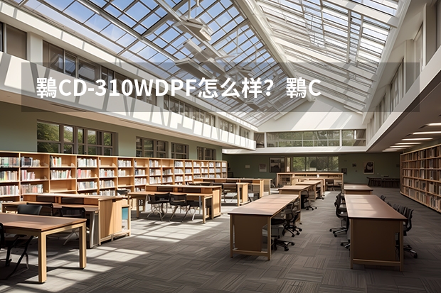 鸅CD-310WDPF怎么样？鸅CD-310WDPF好吗