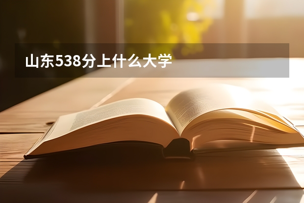 山东538分上什么大学