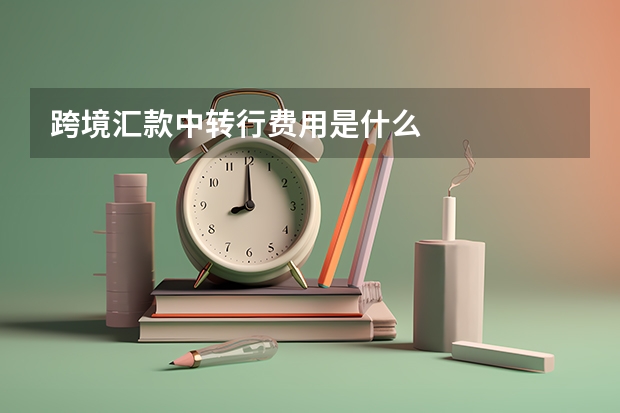 跨境汇款中转行费用是什么