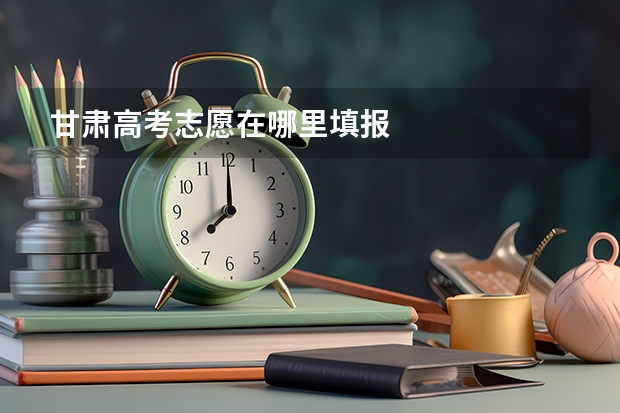 甘肃高考志愿在哪里填报