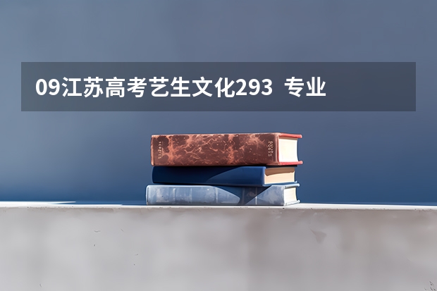 09江苏高考艺生文化293 专业196 能上什么学校