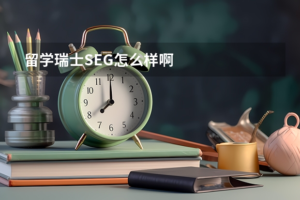 留学瑞士SEG怎么样啊