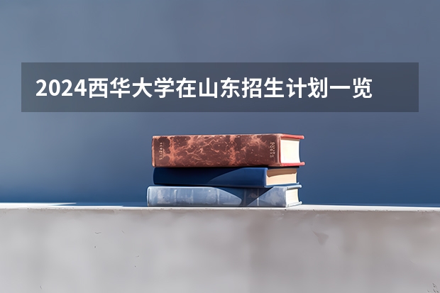 2024西华大学在山东招生计划一览表