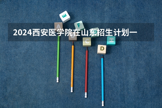 2024西安医学院在山东招生计划一览表