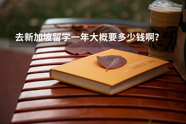 去新加坡留学一年大概要多少钱啊？