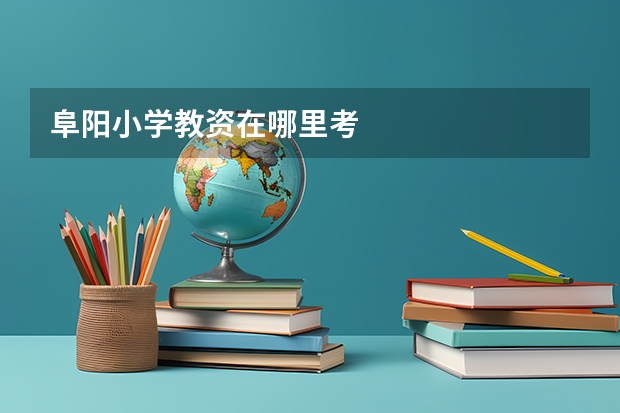 阜阳小学教资在哪里考