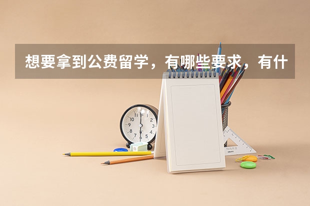 想要拿到公费留学,有哪些要求,有什么建议?