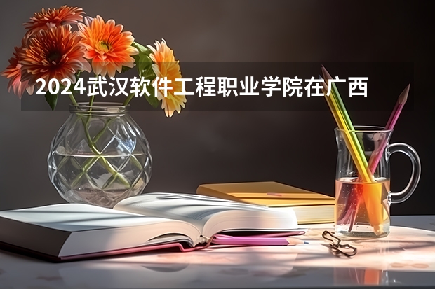 2024武汉软件工程职业学院在广西招生计划一览表