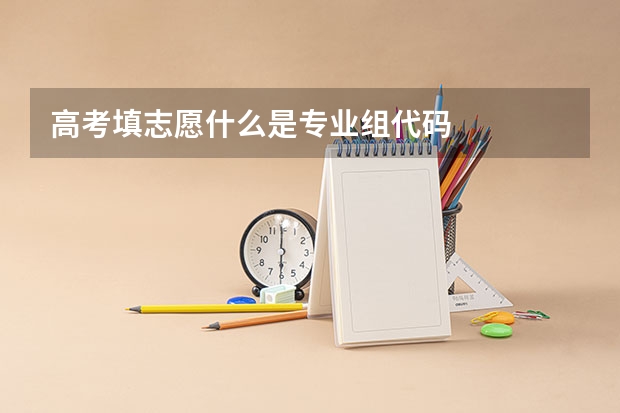 高考填志愿什么是专业组代码