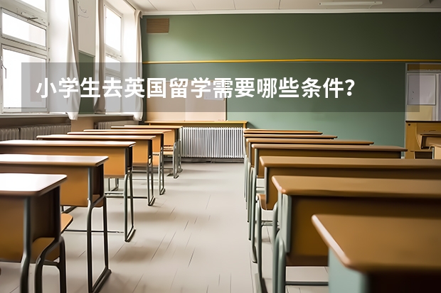 小学生去英国留学需要哪些条件?