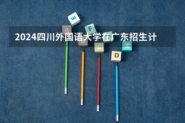 2024四川外国语大学在广东招生计划一览表