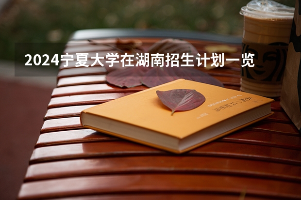 2024宁夏大学在湖南招生计划一览表