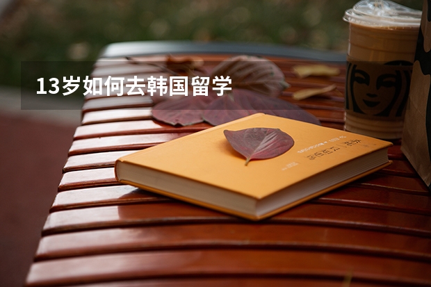 13岁如何去韩国留学