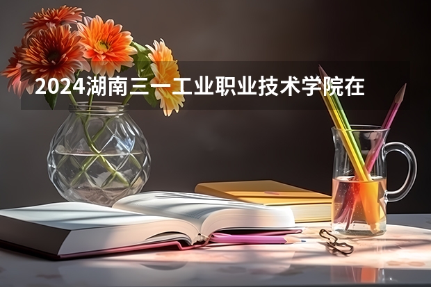 2024湖南三一工业职业技术学院在湖南招生计划一览表