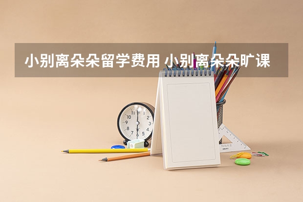 小别离朵朵留学费用 小别离朵朵旷课出走第几集