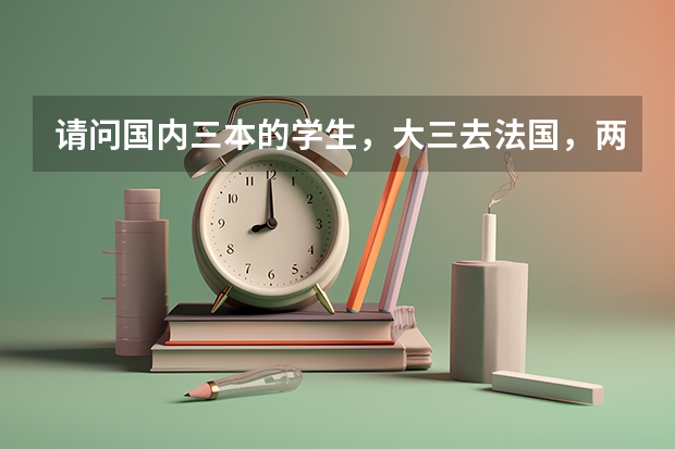 请问国内三本的学生，大三去法国，两年的花费大概要多少。