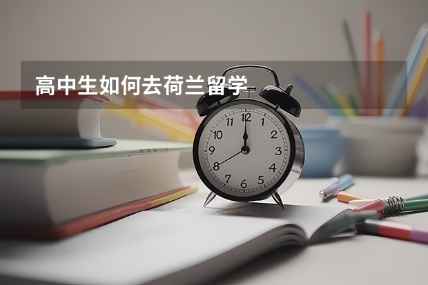 高中生如何去荷兰留学