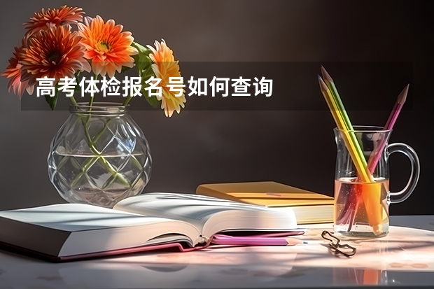 高考体检报名号如何查询