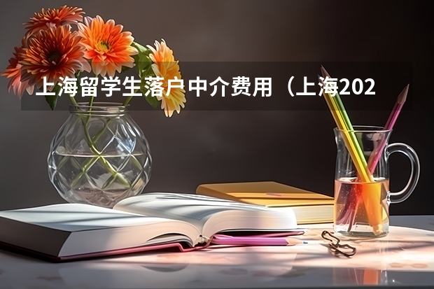 上海留学生落户中介费用（上海2023年留学生落户政策）