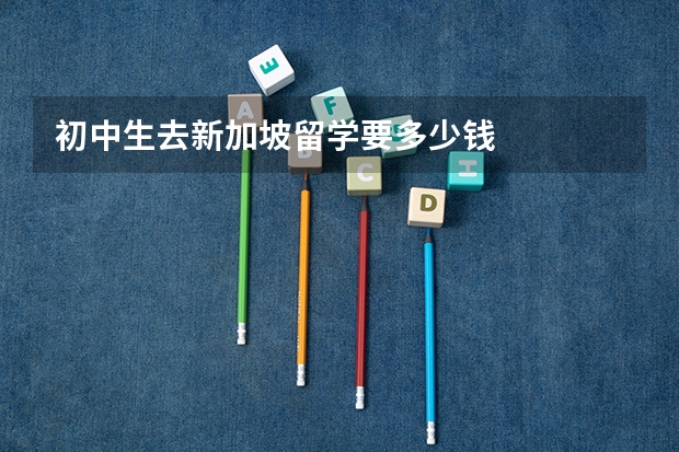 初中生去新加坡留学要多少钱