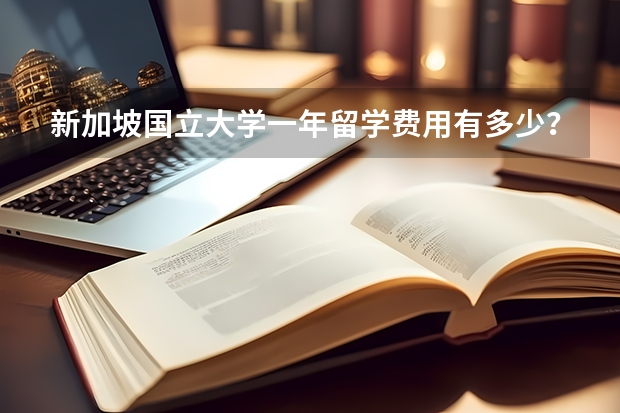 新加坡国立大学一年留学费用有多少？我来替你算算这笔账！