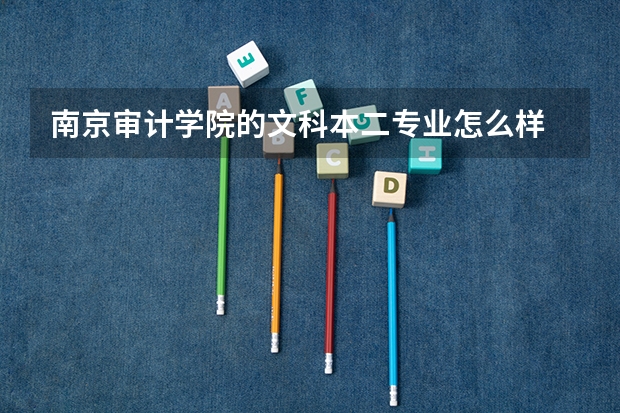 南京审计学院的文科本二专业怎么样