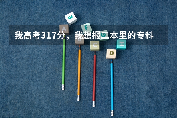 我高考317分，我想报二本里的专科，应该怎么报？是在二本呢一栏填？还
